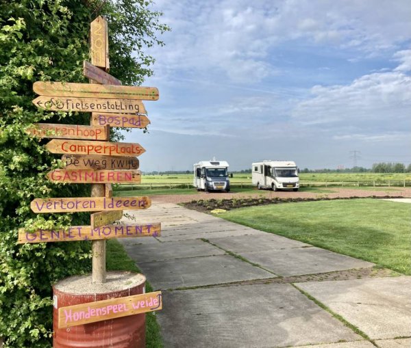 Polderhaan — Photo 3