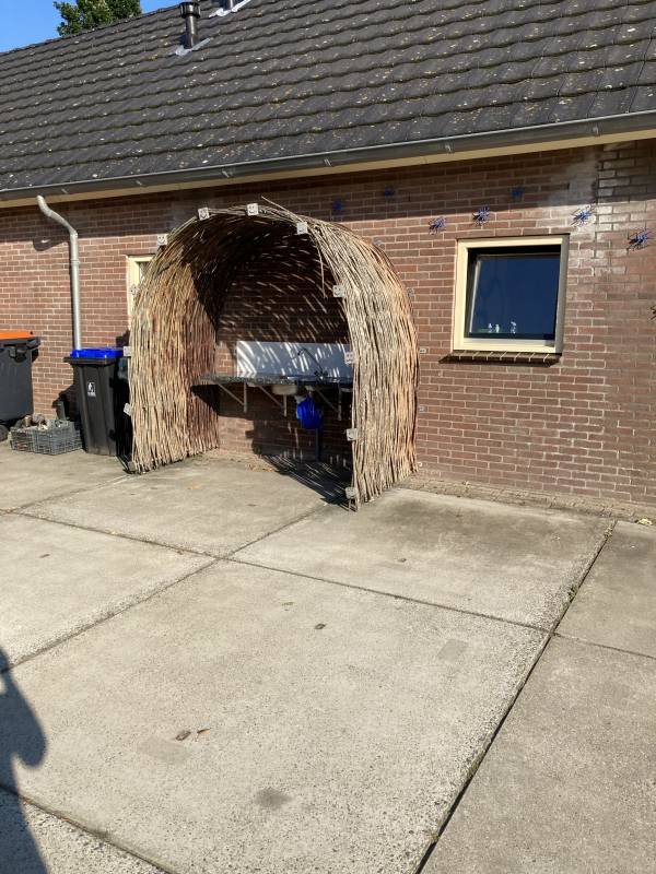 Polderhaan — Photo 4