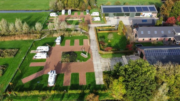 Polderhaan — Photo 2