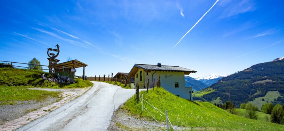Kinderbauernhof Oberhasenberghof — Farm in Taxberg