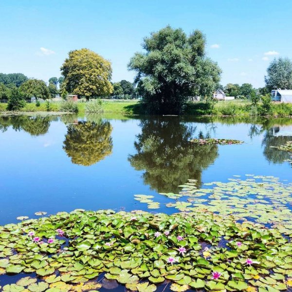 Stellplatz am Willisee Kleve — Foto 6