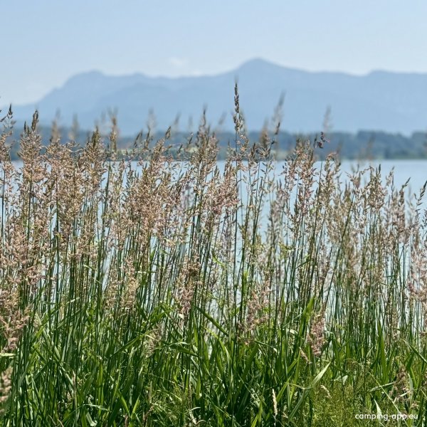 Camping Brugger am Riegsee — Foto 2