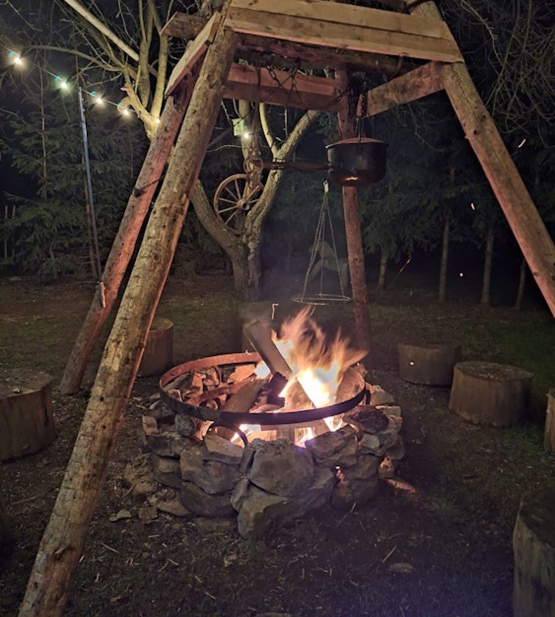 camp am Obstbaum mit allen Annehmlichkeiten in ruhiger lage — On private ground in Am Ohmberg