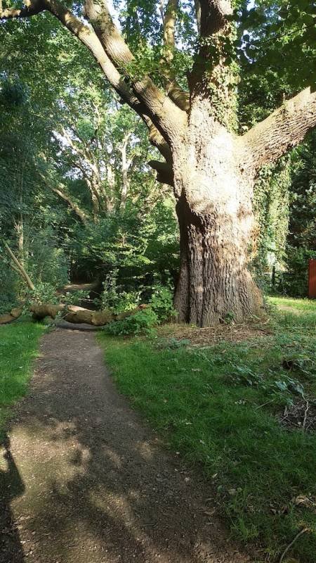 Stellplatz Kellinghusen