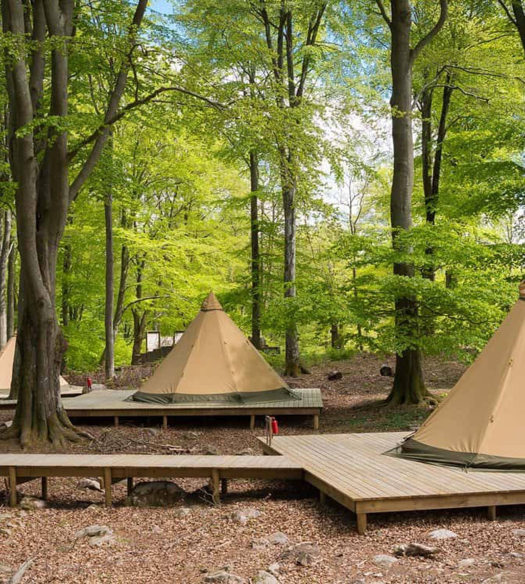 Skånes Djurpark - Camp Oak — Camperplads in Höör