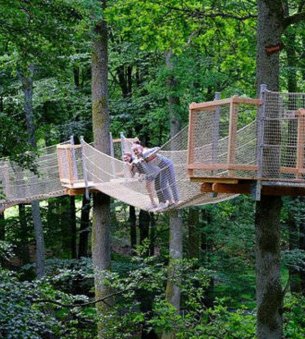 Skånes Djurpark - Camp Oak — Foto 3