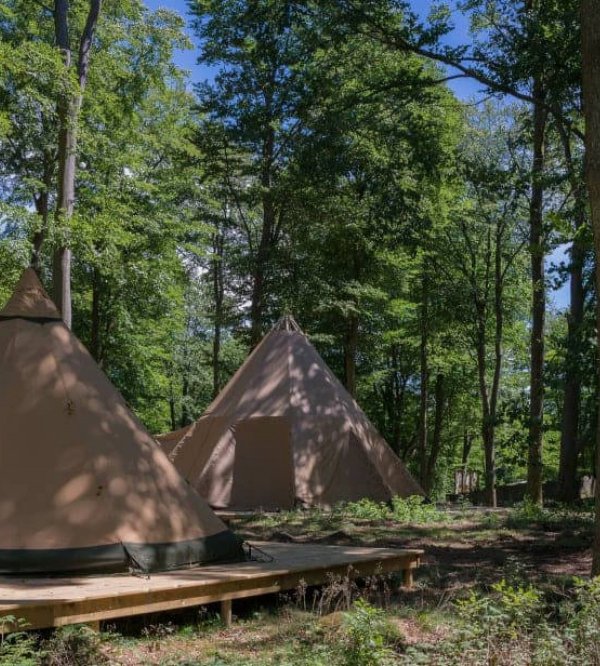 Skånes Djurpark - Camp Oak — Photo 2