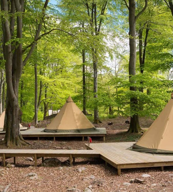 Skånes Djurpark - Camp Oak