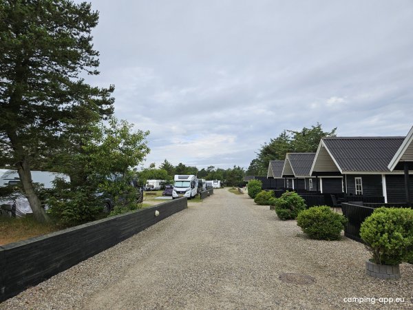 Vejers Familie Camping — Photo 6