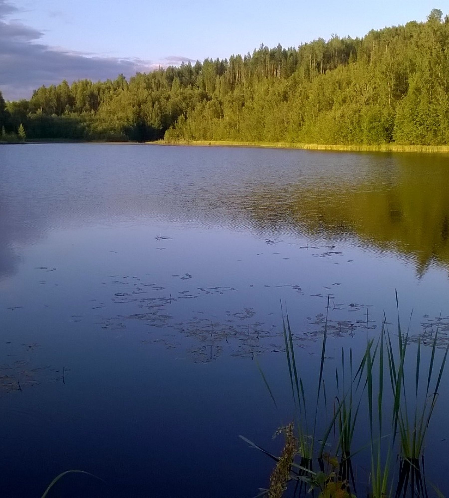 Juupavaara — Campervan Site in Lyly