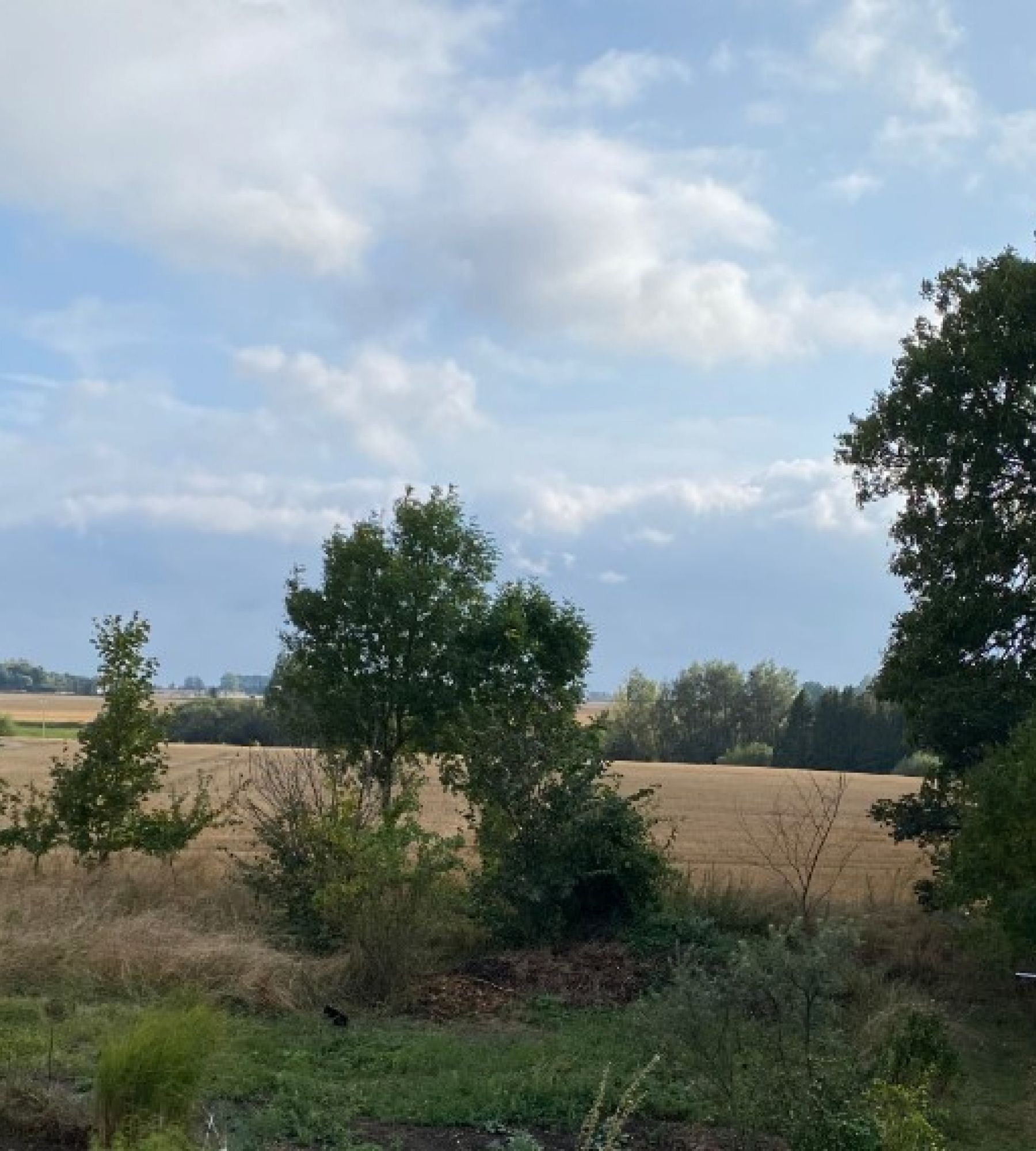 Kroppsgården — 露营车营地 in Skivarp