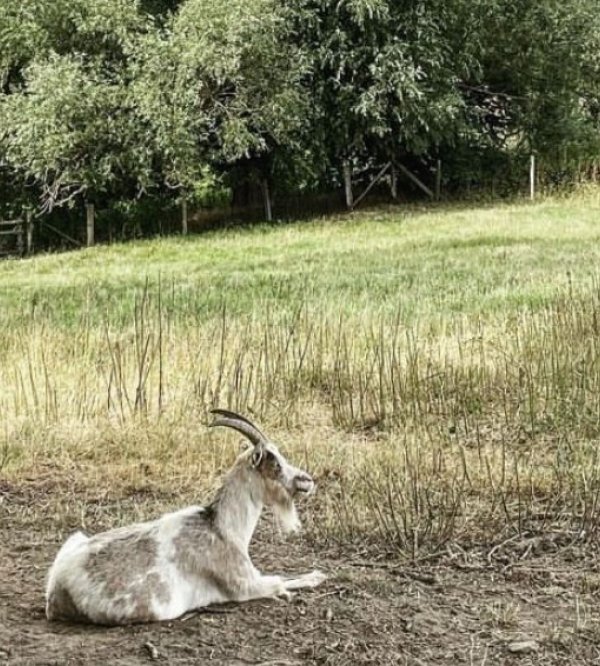 Kroppsgården — Photo 2