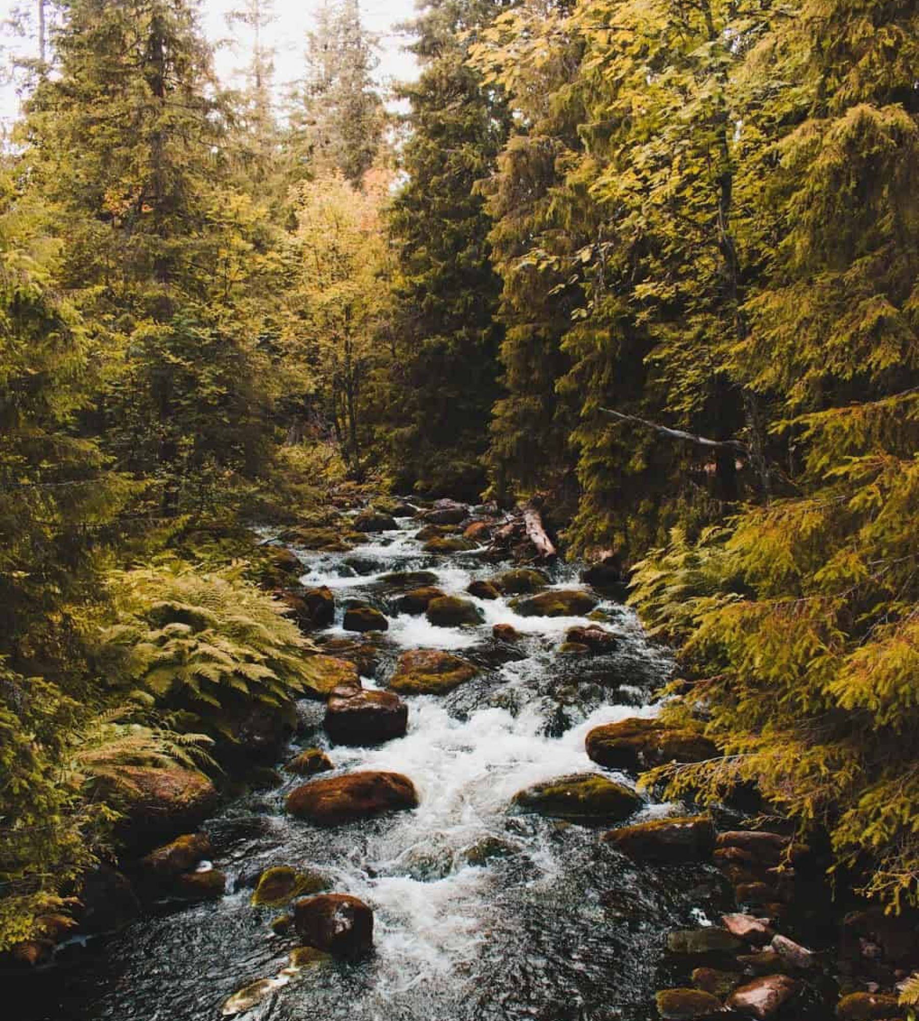 The Mangévie — Aire camping car in Rättvik