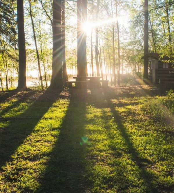 The Mangévie — Photo 2