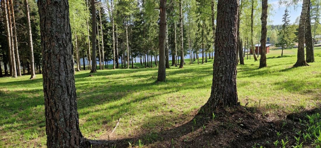 Shambala Gatherings — Karavan Sitesi in Skinnskatteberg