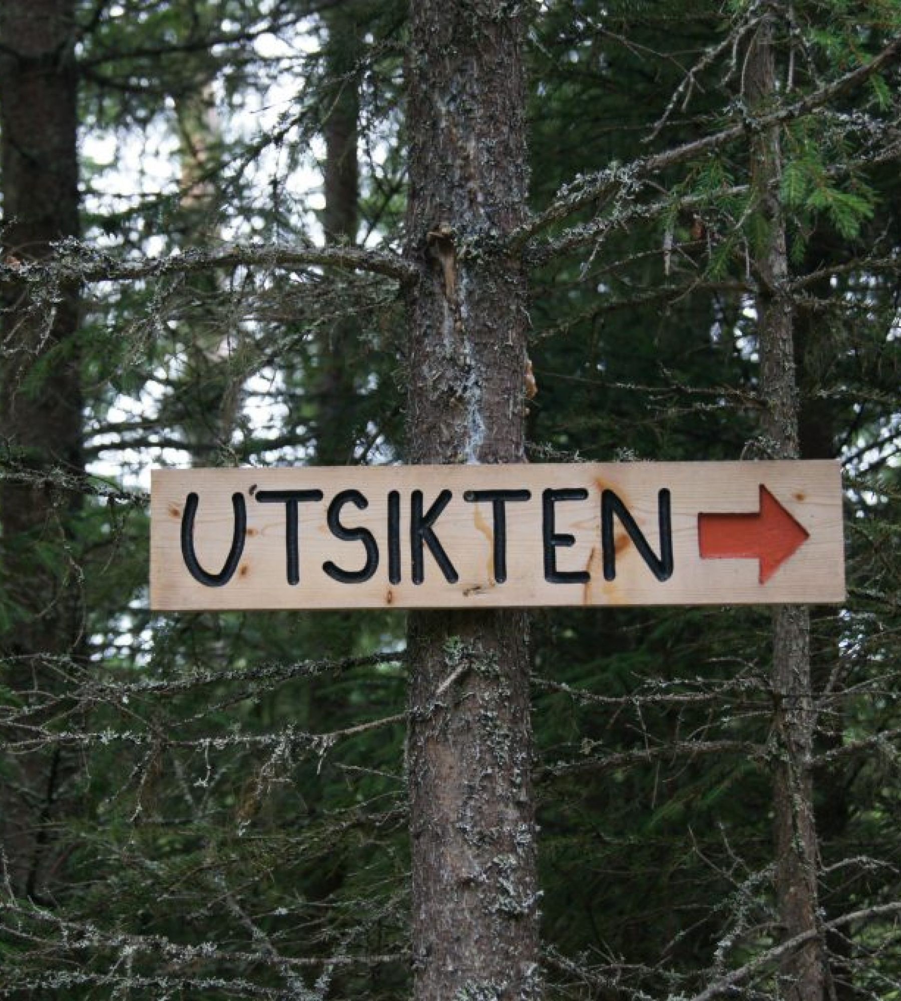 Utsikten turistgård i Sillre — Місце для кемперів in Liden