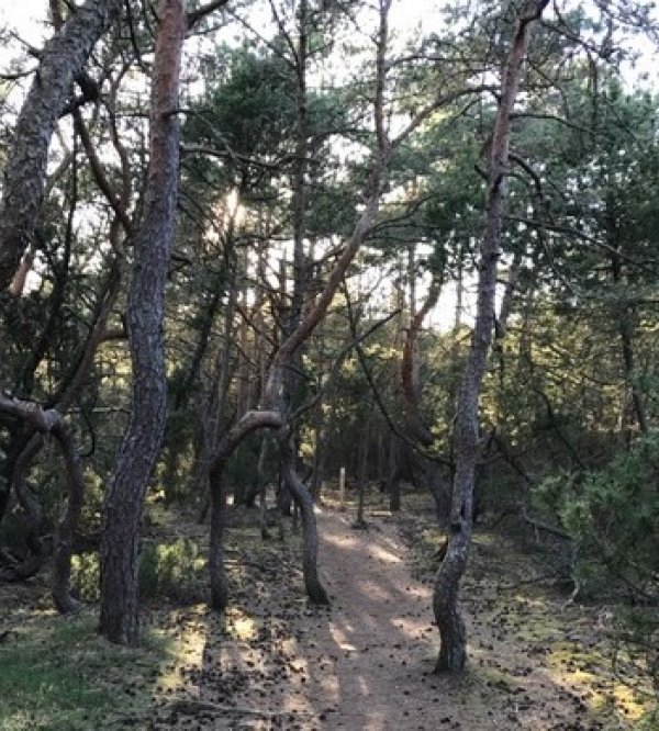 Vilshärads Camping - Halmstad