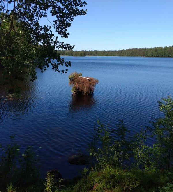 Riihijärven Matkaparkki — Photo 2