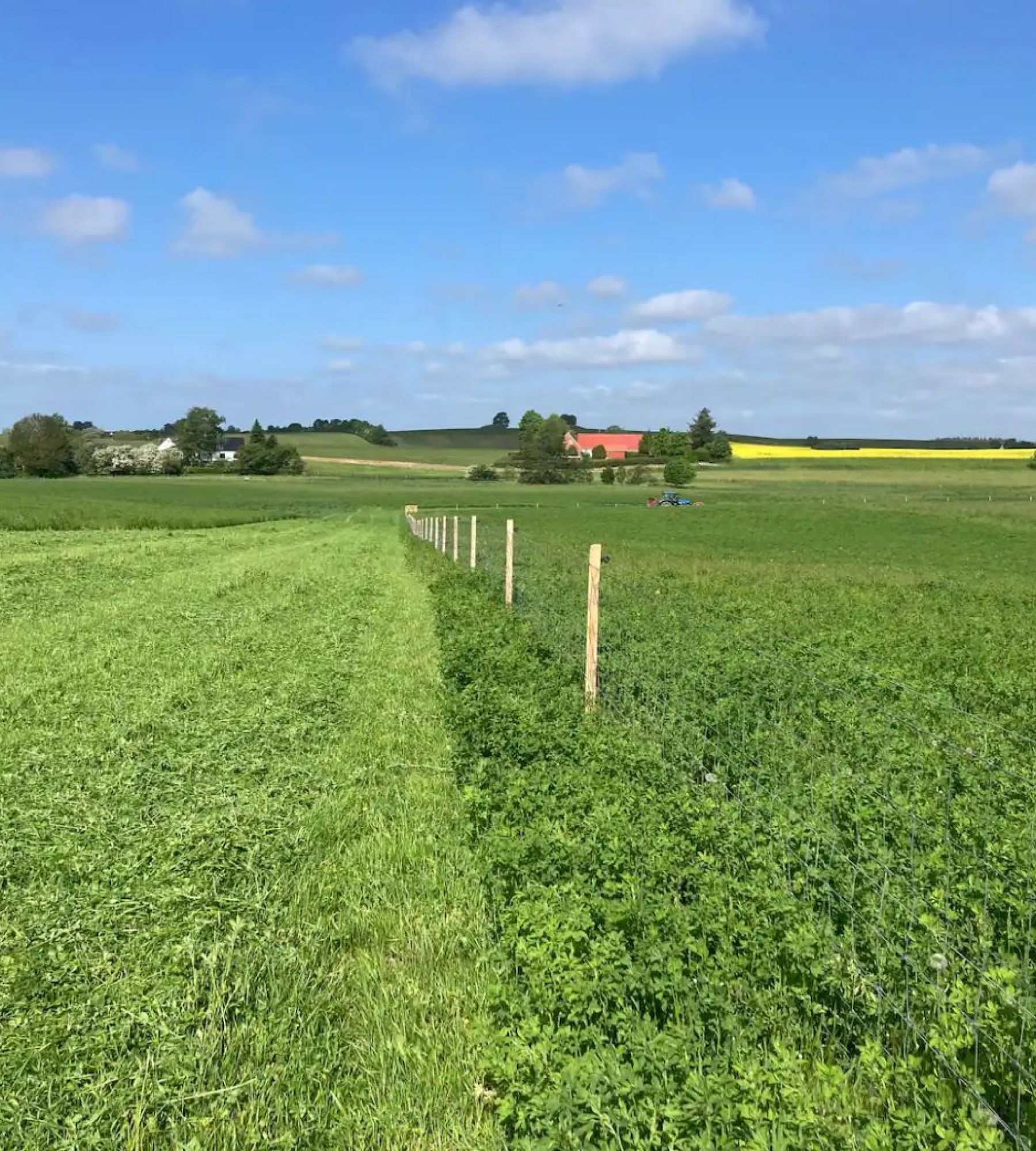Vinkelgaard — Karavan Sitesi in Ringsted 