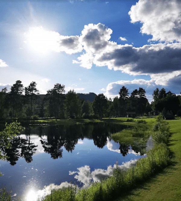 Björsarv Camping — Photo 2