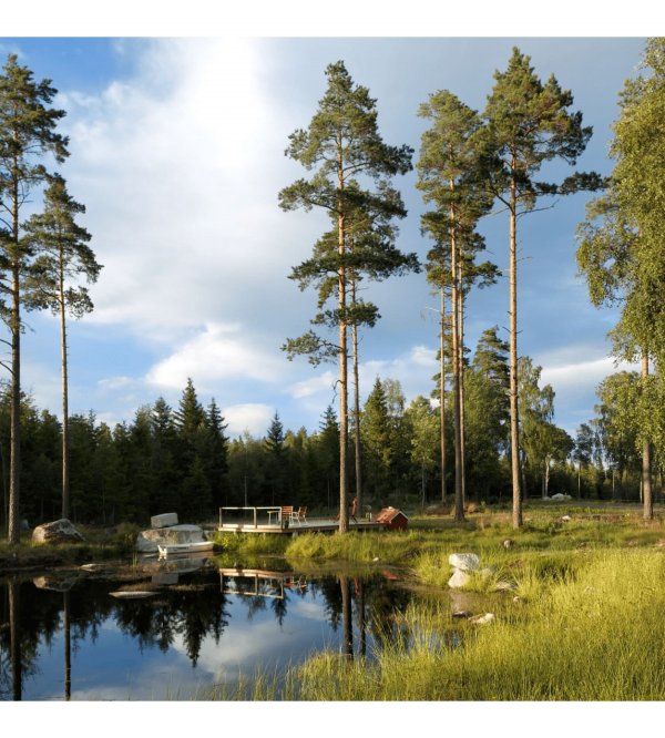 Sötterfällan Gård — Foto 5