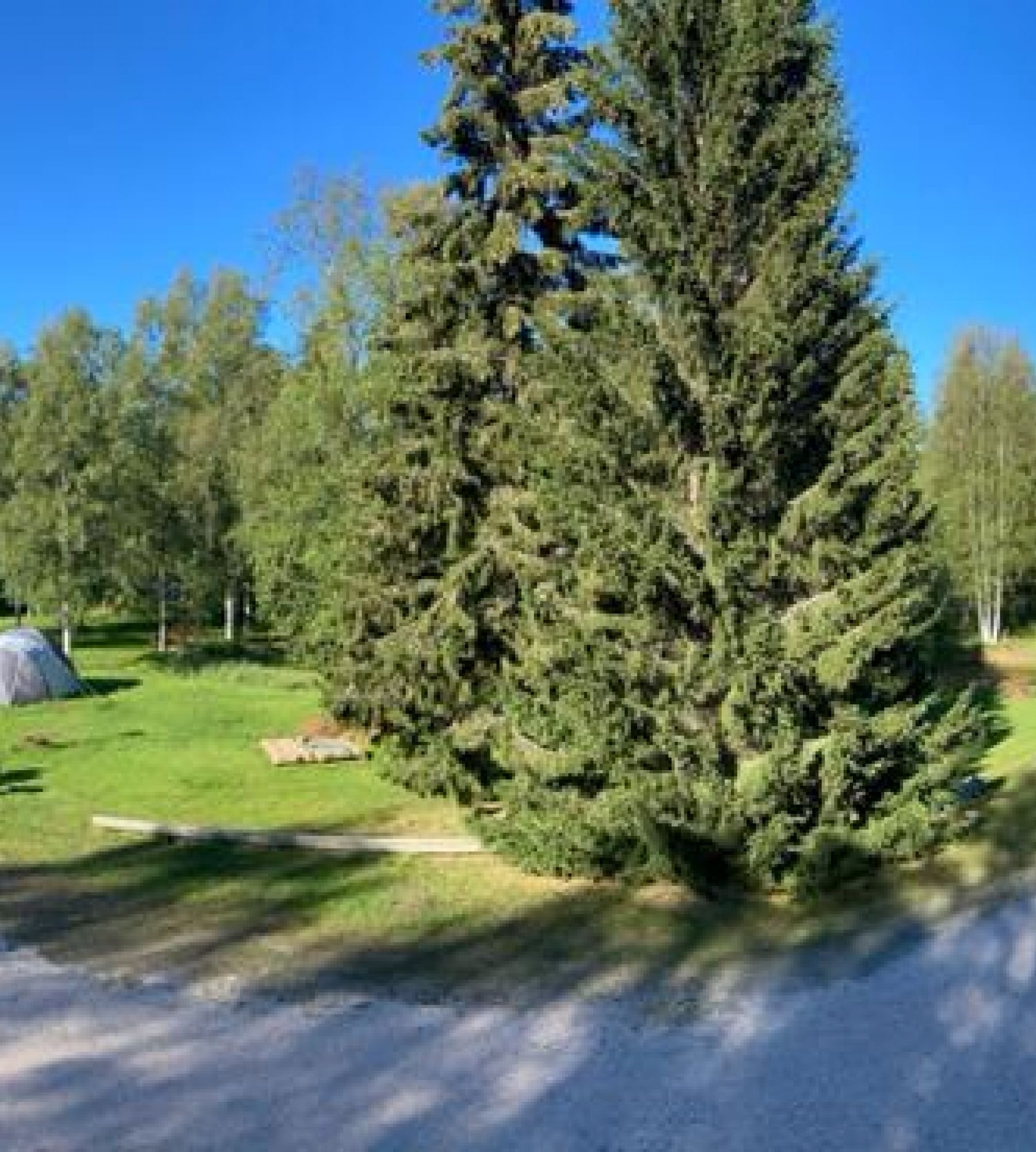 Hotelli Yöpuu — Campervan Site in Kemi