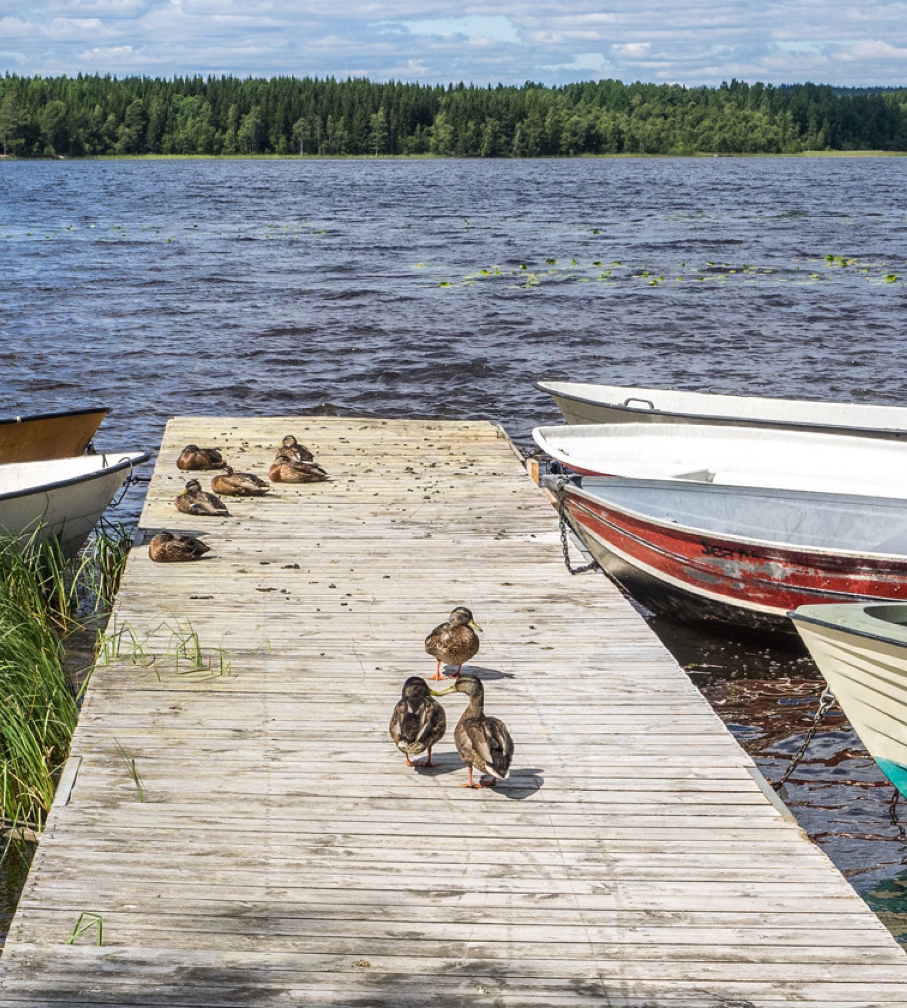 Norbergs Camping — Sítio para autocaravanas in Norberg