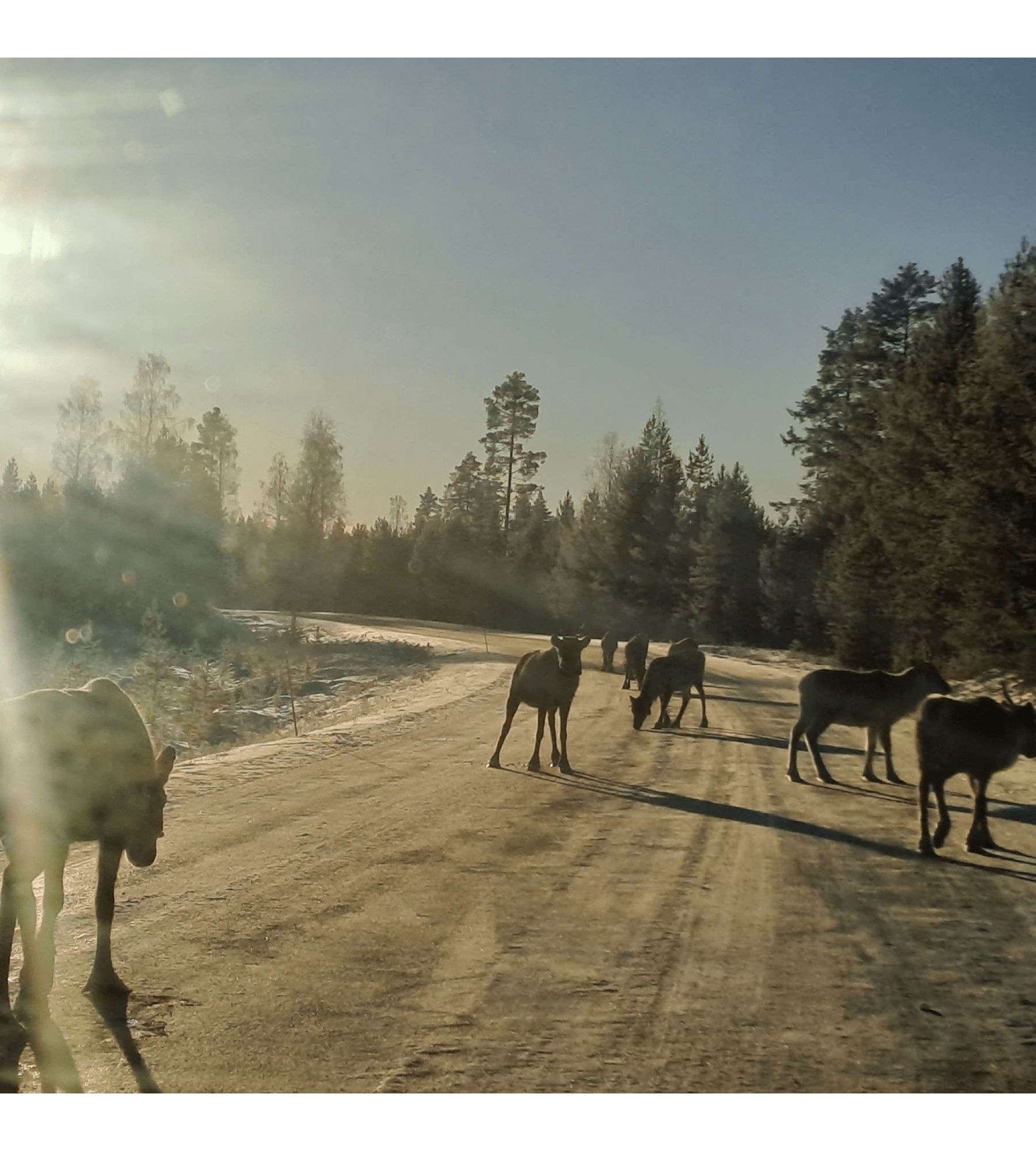 Hautajärven Koulu — Aire camping car in Salla