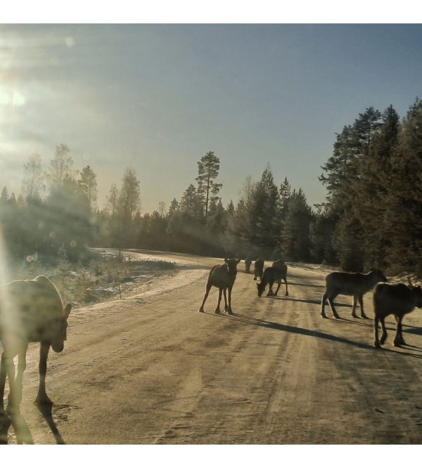 Hautajärven Koulu — Foto 3