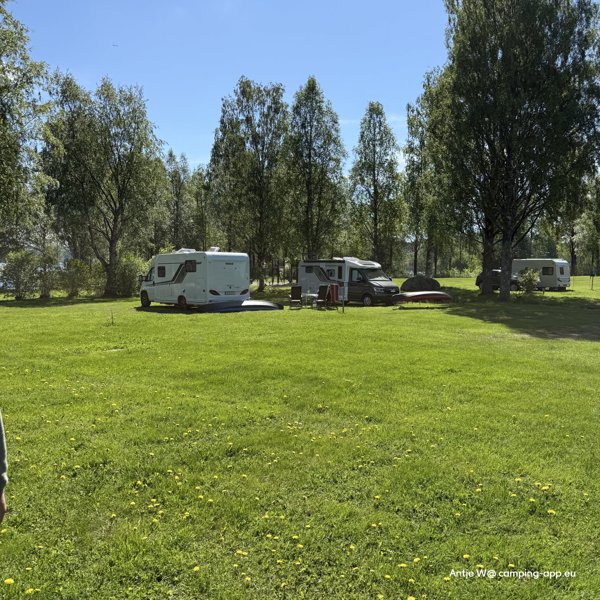 Trehörningsjö Camping och Stugor — Foto 5
