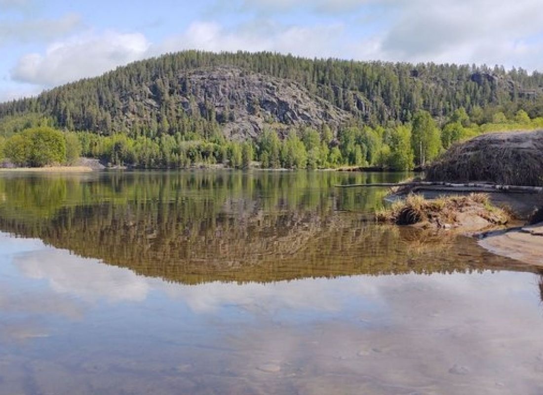 Selholmens Camping — Area Autocaravanas in Älvsbyn