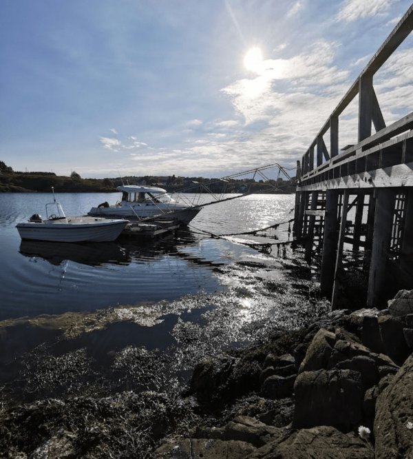 Tanghuset Arena — Photo 2