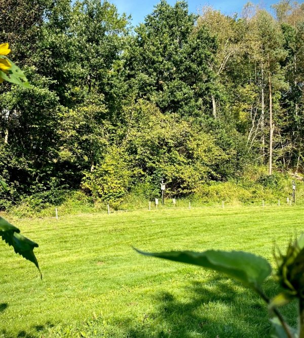 Rallarens Naturcamping — Photo 2