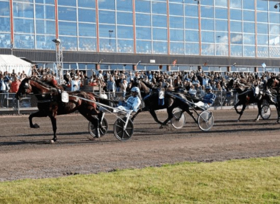 Halmstadtravet — 露营车营地 in Halmstad