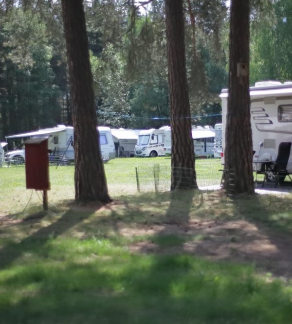 Frya Leir — Photo 2