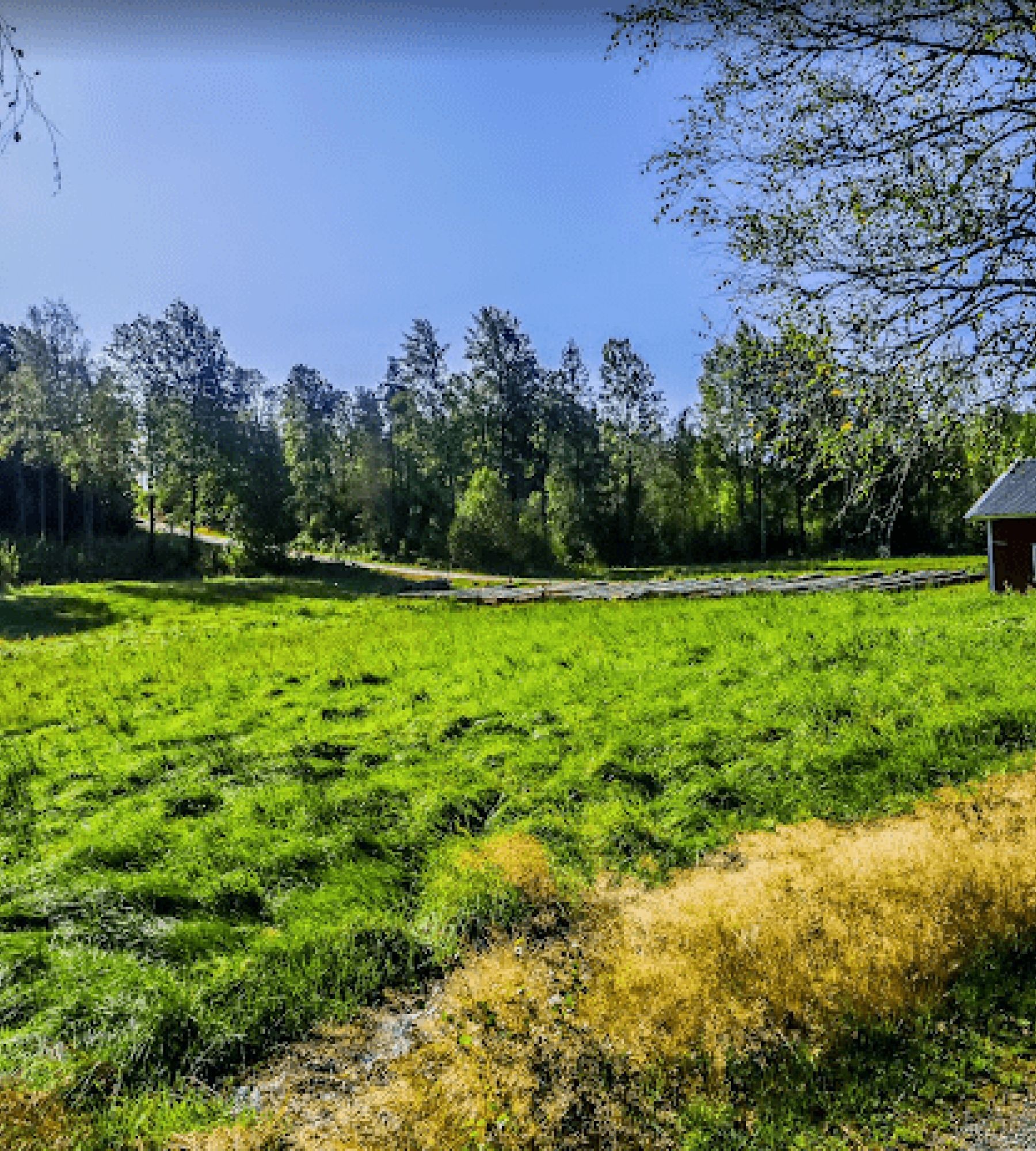 camp am see in der schwedischen natur — Camperplads in Bullaren