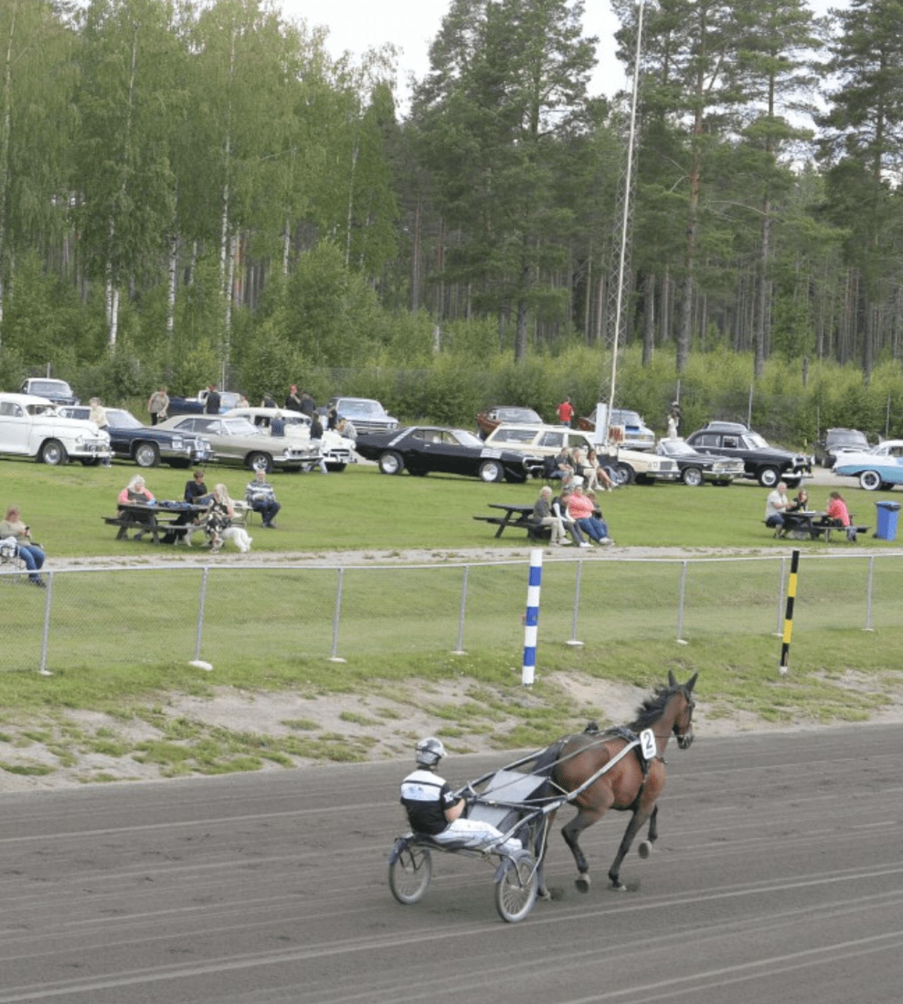 Bollnästravet — Stellplatz in Bollnäs