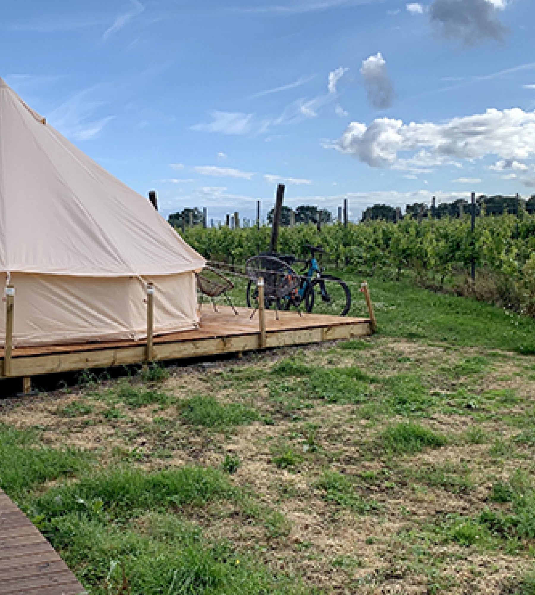 Arilds Vingård — Vinařství in Nyhamnsläge