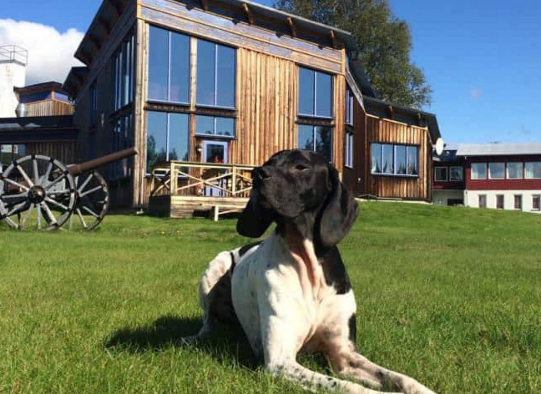 Camp Ånn — Aire camping car in Duved