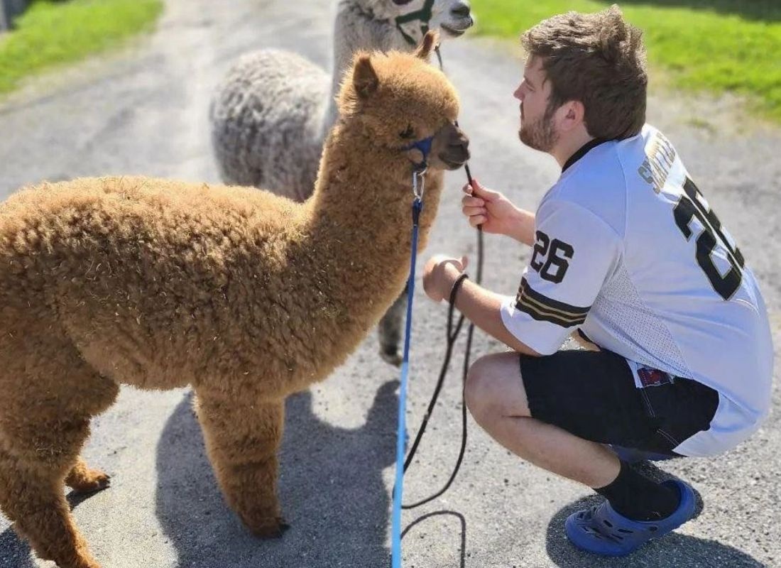 Oddan alpakka — 露营车营地 in  Kyrksæterøra