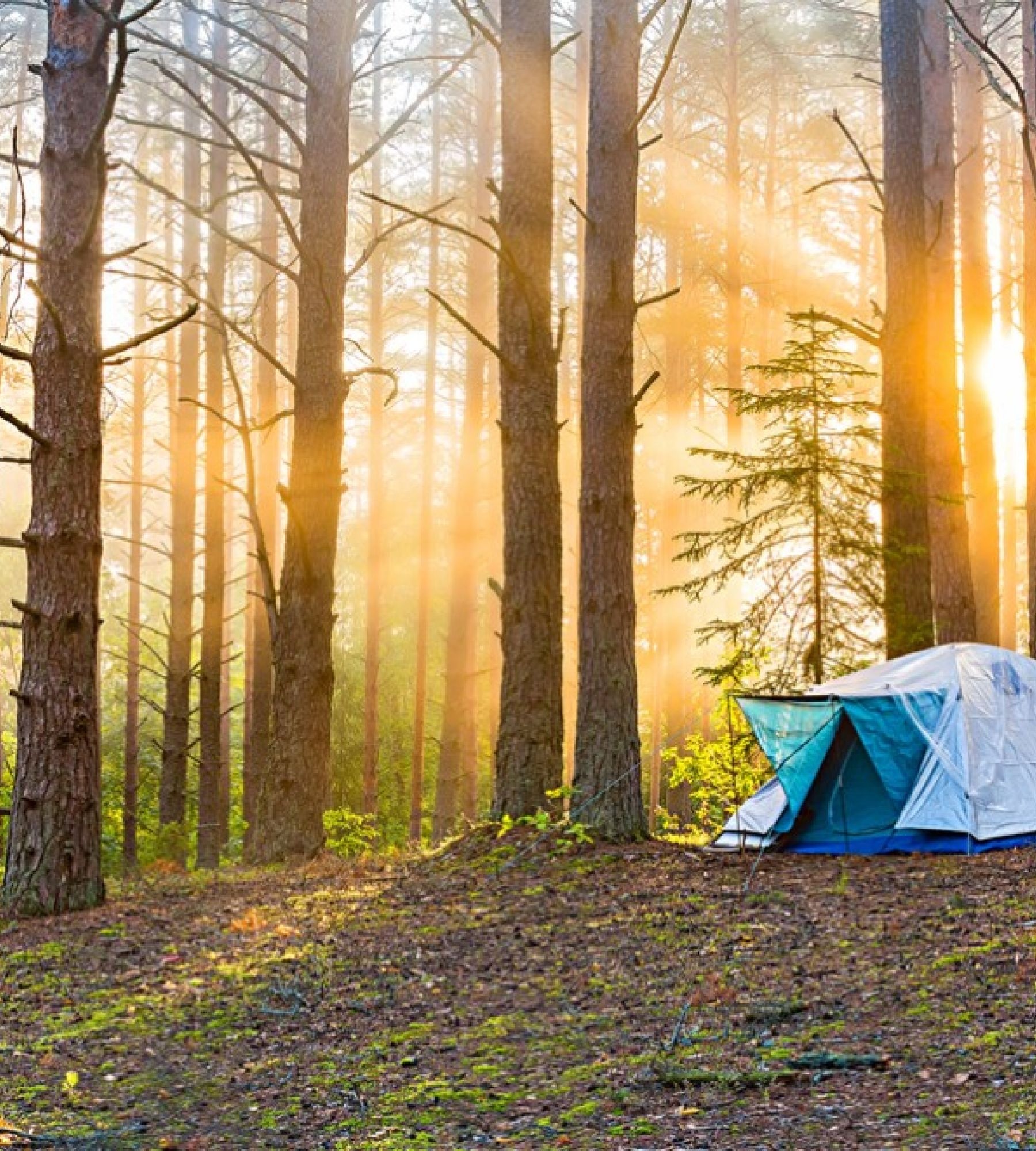 Örö Majoitus — Karavan Sitesi in Kasnäs
