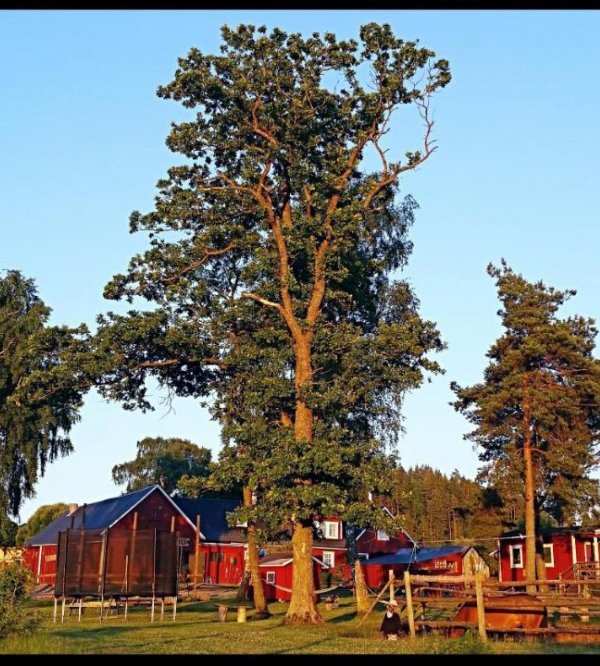 Eddy Lou Ranch — Photo 2