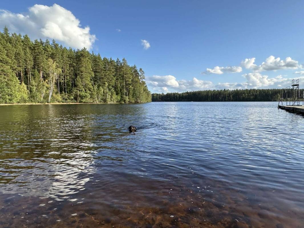 Mullsjö Camping — Aire camping car in Mullsjö
