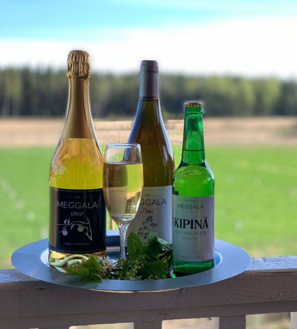 Viinitila Meggala — Photo 2