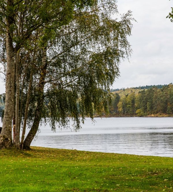 Breanäs hotell — Photo 2