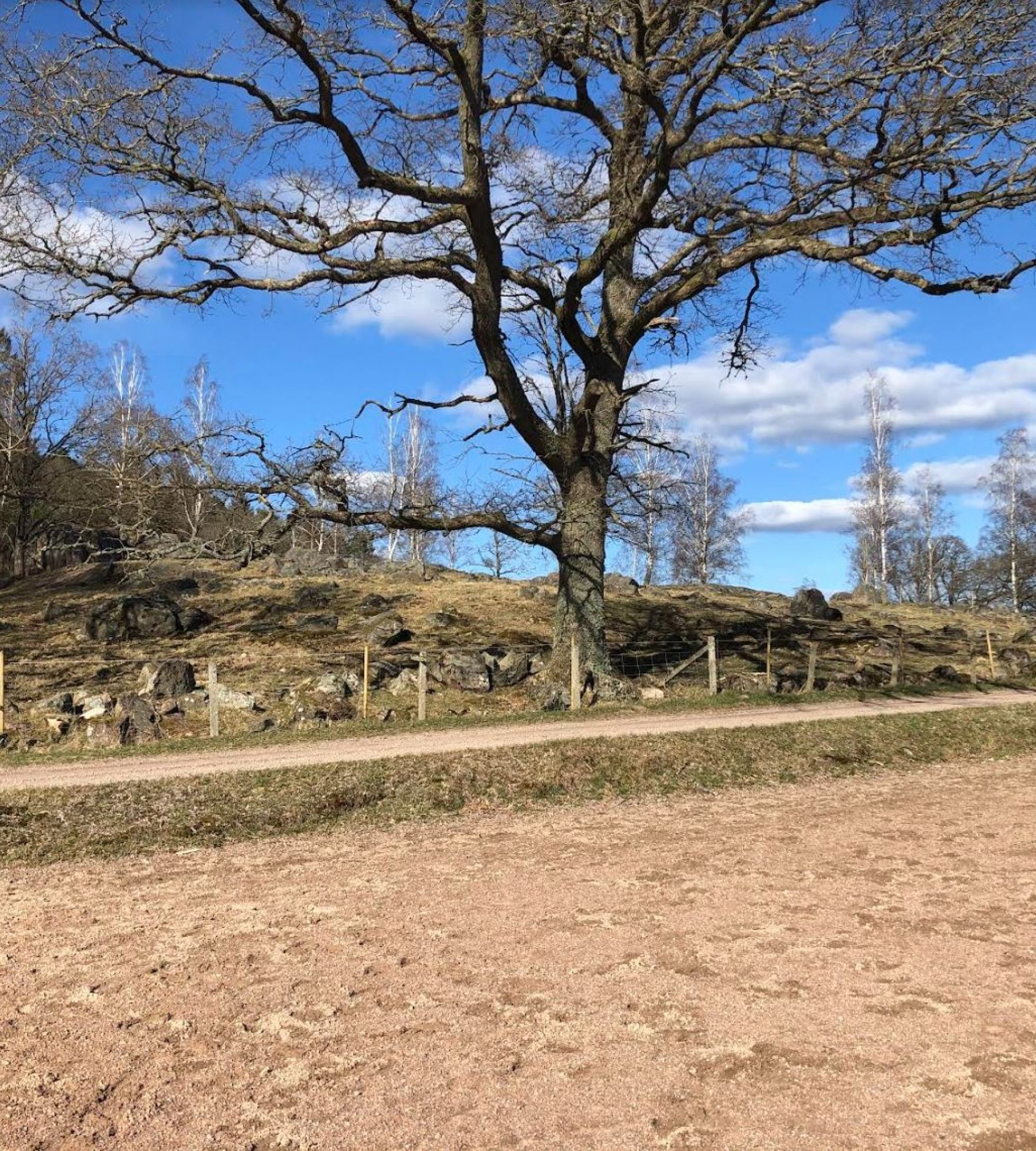 Brynestorp Ställplats — Bobilplass in Kvibille