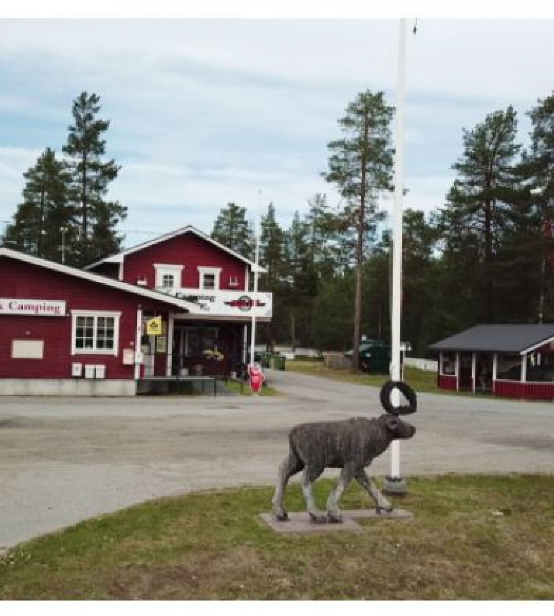 Kattisavans Camping — 露营车营地 in Lycksele