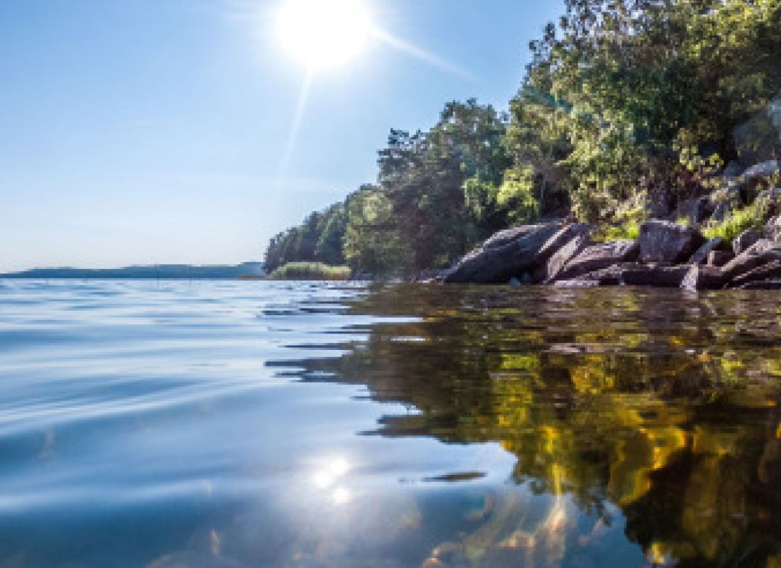 Björkholmens Glamping — Sítio para autocaravanas in Veddige