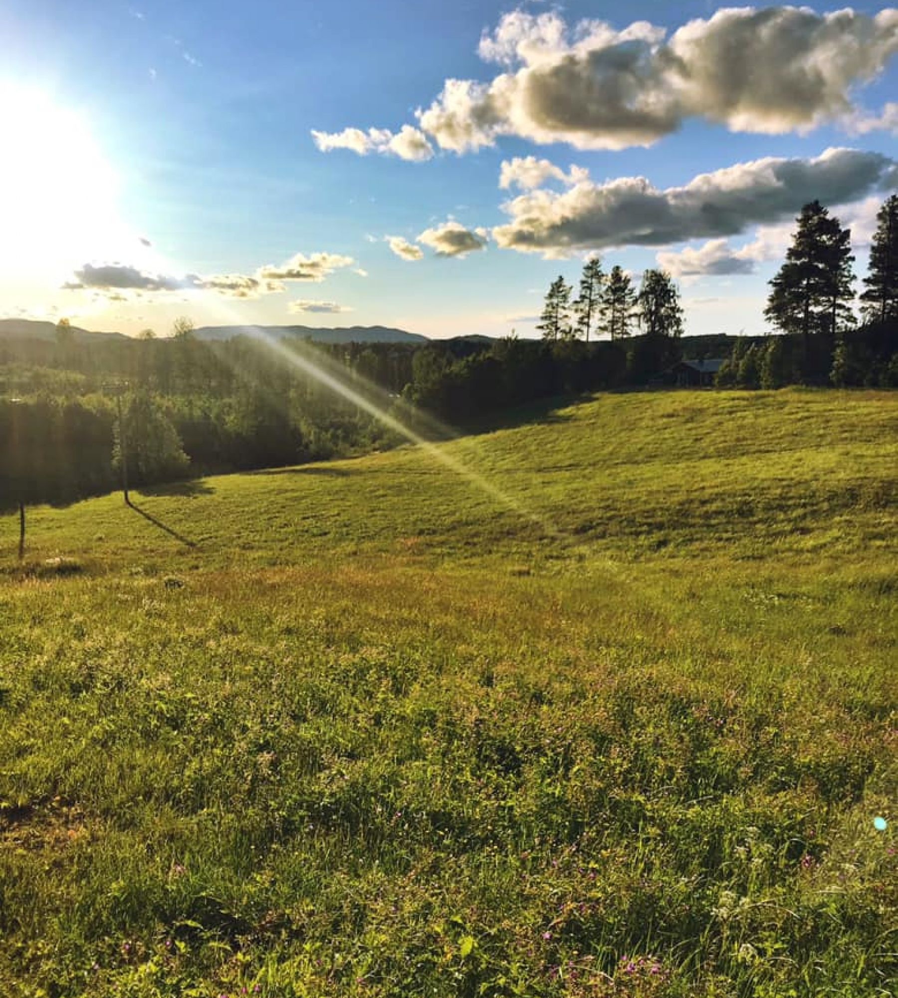 Agnäs Stugby — Karavan Sitesi in Bjurholm