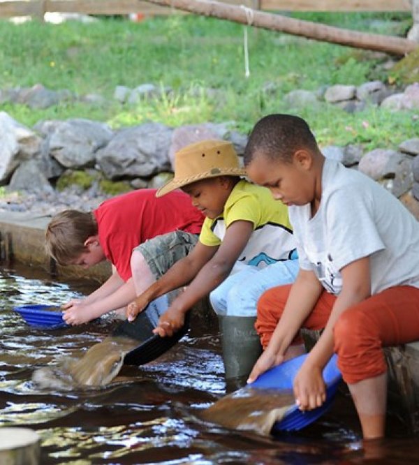 Guldströms Camping — Photo 2